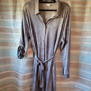 Ellie shirt dress